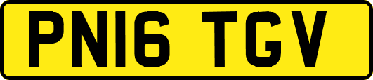 PN16TGV