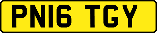 PN16TGY