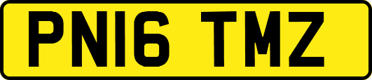 PN16TMZ