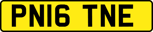 PN16TNE