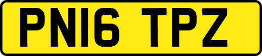 PN16TPZ