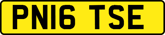 PN16TSE