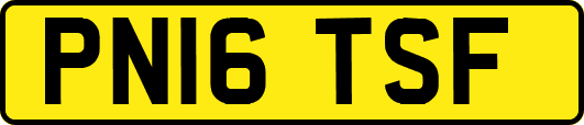 PN16TSF