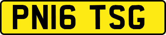 PN16TSG