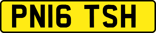 PN16TSH
