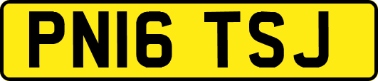 PN16TSJ