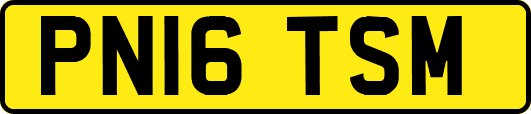 PN16TSM