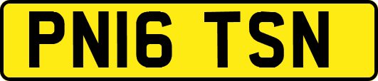 PN16TSN