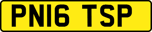 PN16TSP