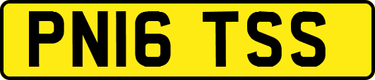 PN16TSS
