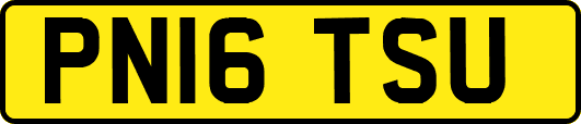 PN16TSU