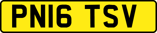 PN16TSV