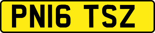 PN16TSZ