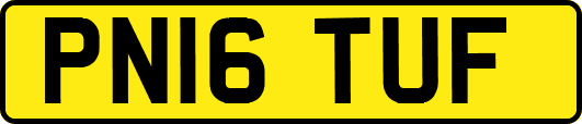 PN16TUF