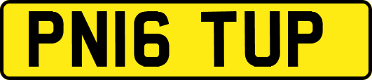 PN16TUP