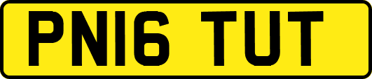 PN16TUT
