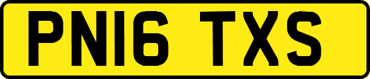 PN16TXS
