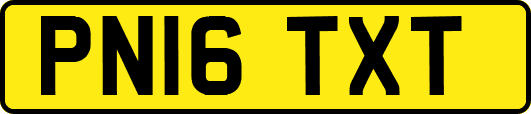 PN16TXT
