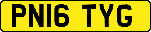PN16TYG