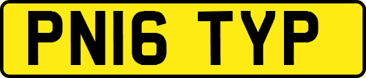 PN16TYP