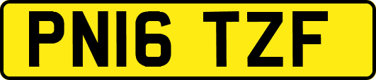 PN16TZF