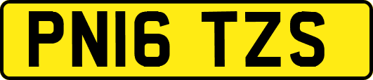PN16TZS