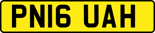 PN16UAH
