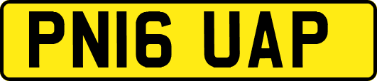 PN16UAP