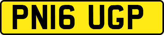 PN16UGP