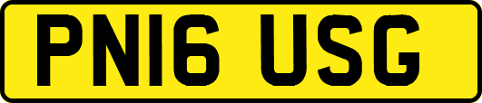 PN16USG