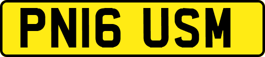 PN16USM