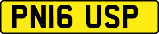PN16USP