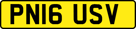 PN16USV