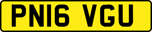 PN16VGU