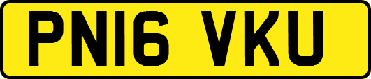 PN16VKU
