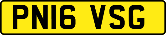 PN16VSG