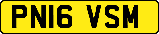 PN16VSM