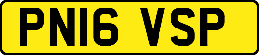 PN16VSP