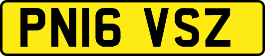 PN16VSZ