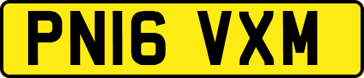 PN16VXM