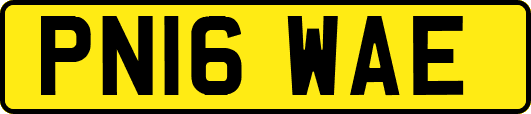 PN16WAE