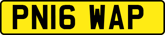 PN16WAP