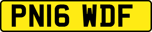 PN16WDF