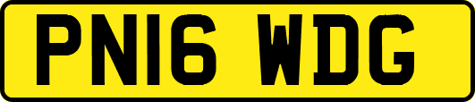 PN16WDG