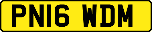 PN16WDM