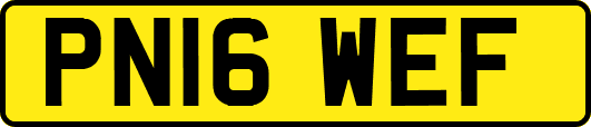 PN16WEF