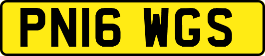 PN16WGS