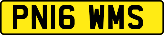 PN16WMS
