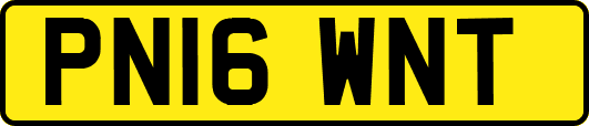 PN16WNT