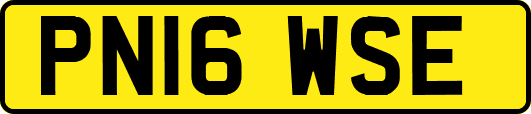 PN16WSE